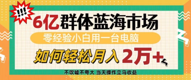 6亿群体蓝海市场，零经验小白用一台电脑，如何轻松月入过w_天恒副业网