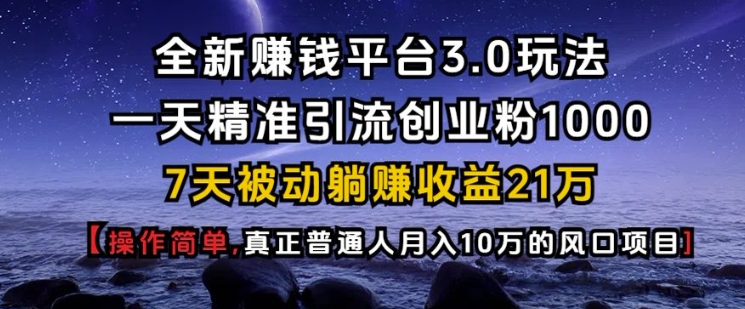 全新赚钱平台3.0玩法一天精准引流创业粉1000.7天被动躺Z收益21W【仅揭秘】_天恒副业网