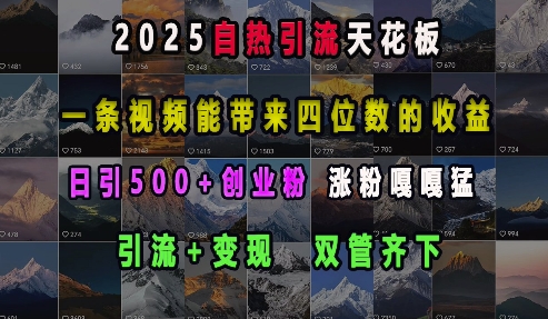2025自热引流天花板,一条视频能带来四位数的收益,引流+变现双管齐下,日引500+创业粉,涨粉嘎嘎猛_天恒副业网