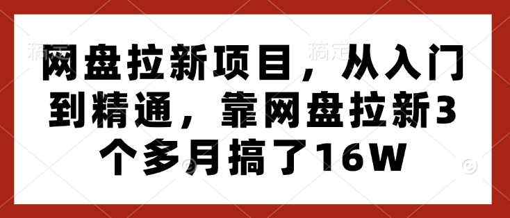 网盘拉新项目,从入门到精通,靠网盘拉新3个多月搞了16W_天恒副业网