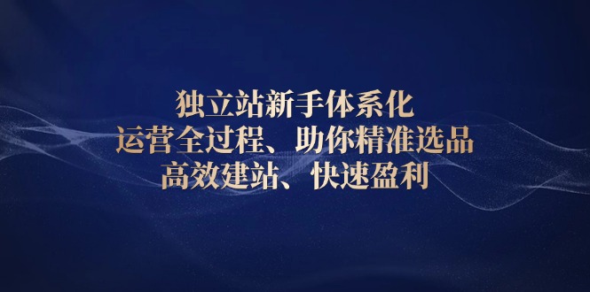 独立站新手体系化 运营全过程，助你精准选品、高效建站、快速盈利_天恒副业网