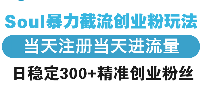 （13935期）Soul暴力截流创业粉玩法，当天注册当天进流量，日稳定300+精准创业粉丝_天恒副业网