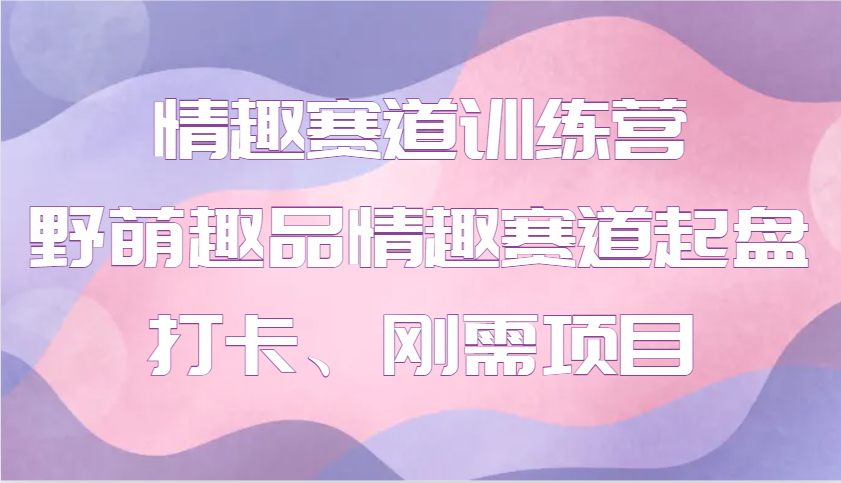 情趣赛道训练营野萌趣品情趣赛道起盘打卡、刚需项目_天恒副业网