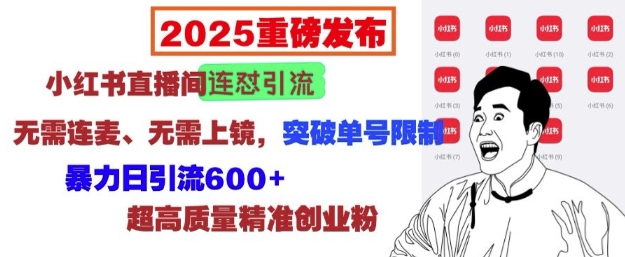 2025重磅发布：小红书直播间连怼引流，无需连麦、无需上镜，突破单号限制，暴力日引流600+_天恒副业网