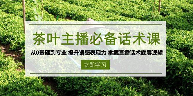 茶叶主播必备话术课从0基础到专业提升语感表现力掌握直播话术底层逻辑_天恒副业网