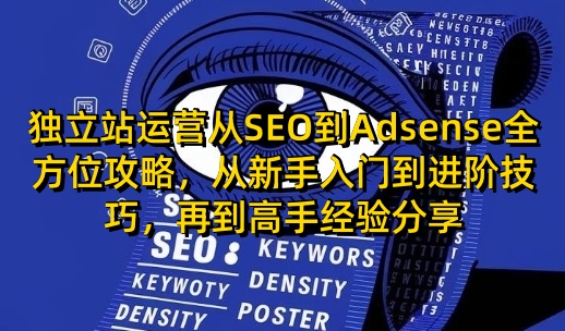 独立站运营从SEO到Adsense全方位攻略,从新手入门到进阶技巧,再到高手经验分享_天恒副业网