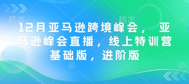 12月亚马逊跨境峰会,亚马逊峰会直播,线上特训营基础版,进阶版_天恒副业网