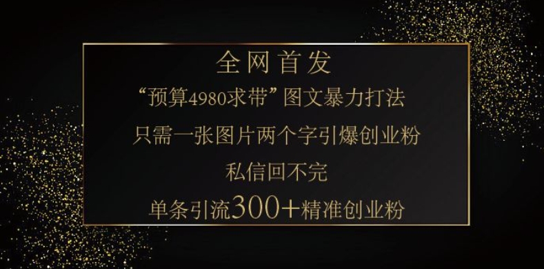 小红书神奇图片引流法，只需一张图，就能单条笔记凭借此方法，轻松引流300+精准创业粉_天恒副业网