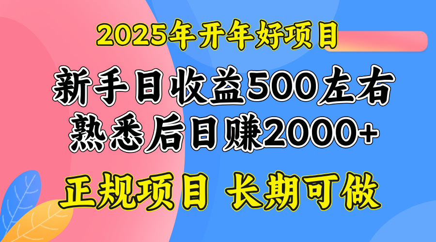 （14076期）2025开年好项目，单号日收益2000左右_天恒副业网