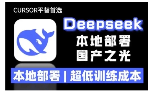 2025年deepseekR1大型模型本地安装部署(文件+教程)本地部署，超低训练成本_天恒副业网
