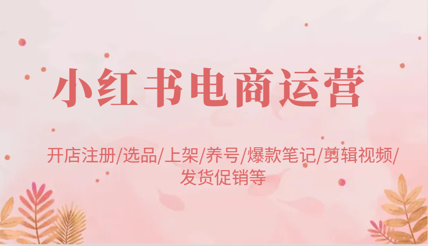 小红书电商运营:开店注册/选品/上架/养号/爆款笔记/剪辑视频/发货促销等_天恒副业网