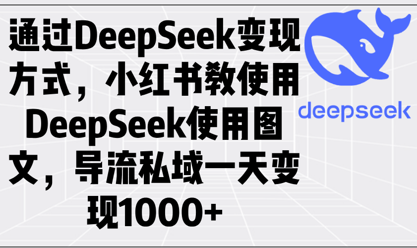 (14179期)通过DeepSeek变现方式,小红书教使用DeepSeek图文,导流私域一天变现1000+_天恒副业网