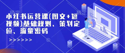 小红书运营课(图文+短视频)基础规则、策划定位、流量密码_天恒副业网