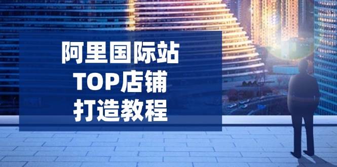 阿里国际站TOP店铺打造教程：涵盖平台到高阶，解决运营难题，提升询盘_天恒副业网