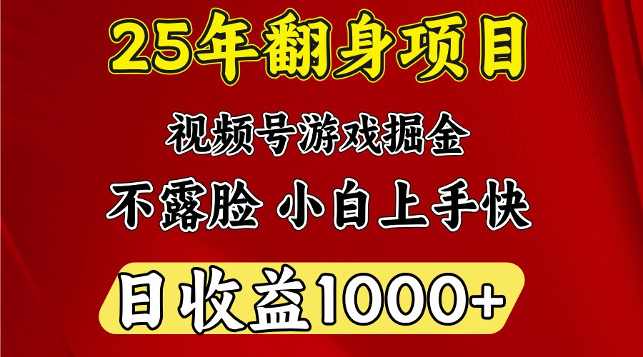 一天收益1000+25年开年落地好项目_天恒副业网