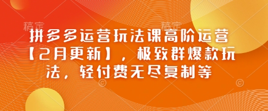 拼多多运营玩法课高阶运营【2月更新】,极致群爆款玩法,轻付费无尽复制等_天恒副业网