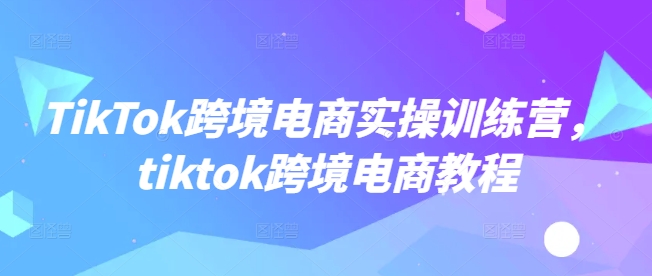 TikTok跨境电商实操训练营，tiktok跨境电商教程_天恒副业网