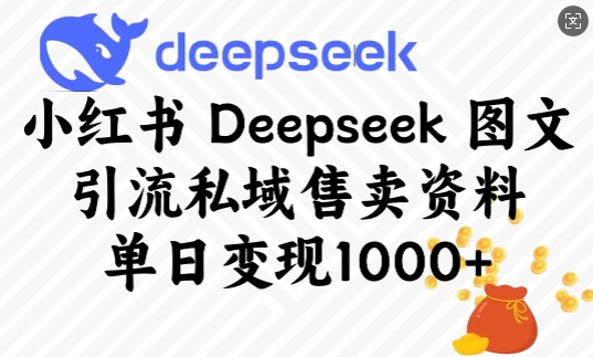 小红书Deepseek图文引流私域售卖资料,单日变现多张_天恒副业网
