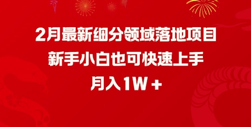 2月最新细分领域落地项目,新手小白也可快速上手,月入1W_天恒副业网