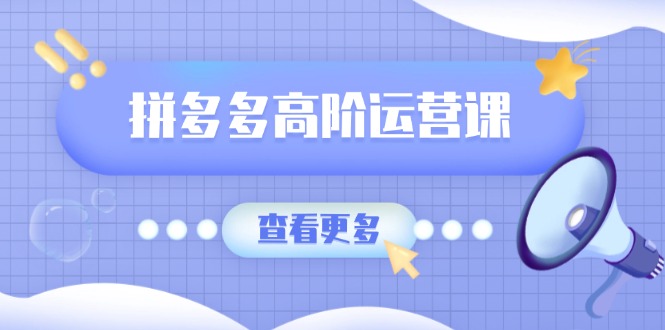 （14327期）拼多多高阶运营课：极致群爆款玩法，轻付费无尽复制，打造单品爆款之路_天恒副业网