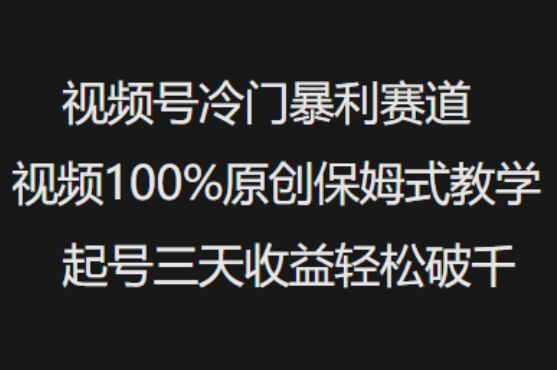 视频号冷门暴利赛道视频100%原创保姆式教学起号三天收益轻松破千_天恒副业网