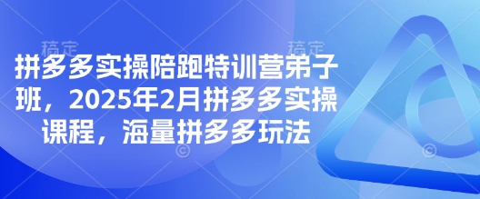 拼多多实操陪跑特训营弟子班,2025年2月拼多多实操课程,海量拼多多玩法_天恒副业网