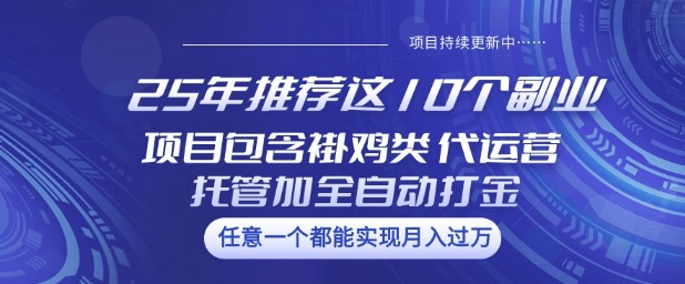 25年推荐这10个副业项目包含褂鸡类、代运营托管类、全自动打金类_天恒副业网