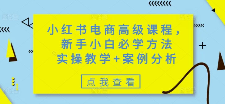 小红书电商高级课程,新手小白必学方法,实操教学+案例分析_天恒副业网