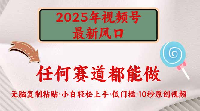 (14453期)2025年视频号新风口,低门槛只需要无脑执行_天恒副业网