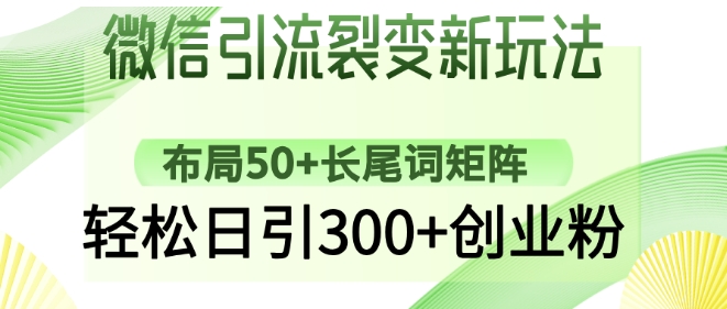 微信引流裂变新玩法:布局50+长尾词矩阵,轻松日引300+创业粉_天恒副业网