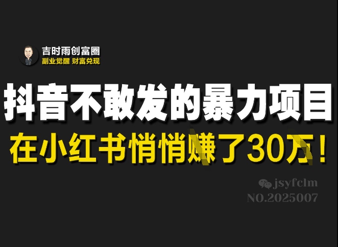 抖音不敢发的暴利项目，在小红书悄悄挣了30W_天恒副业网