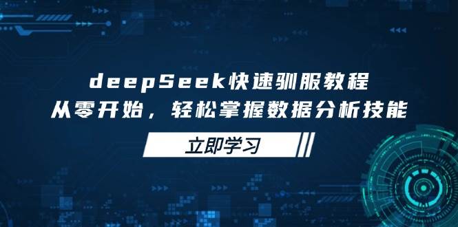 deepSeek快速驯服教程，从零开始，轻松掌握数据分析技能_天恒副业网
