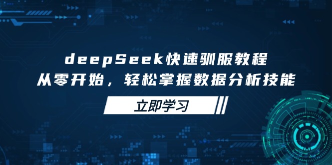 (14536期)deepSeek快速驯服教程,从零开始,轻松掌握数据分析技能_天恒副业网