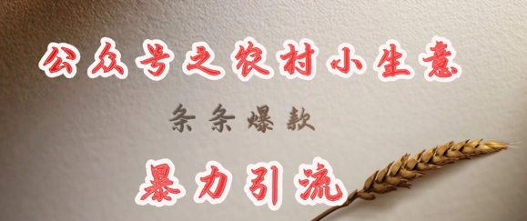 deepseek写农村小项目,条条爆款,暴力引流_天恒副业网