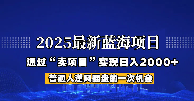 2025年蓝海项目,如何通过“网创项目”日入2000+_天恒副业网