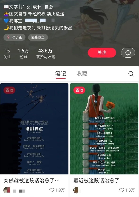 小红书治愈文案图文笔记,零门槛,一分钟制作轻松制作爆款作品月入万元_天恒副业网