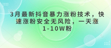 3月最新抖音暴力涨粉技术，快速涨粉安全无风险，一天涨1-10W粉_天恒副业网