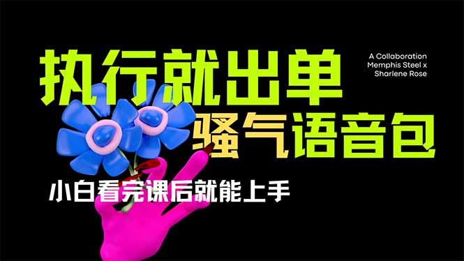 (14170期)爆火全网的开车导航骚气语音包,只要执行就出单,小白看完课程就能实操…_天恒副业网