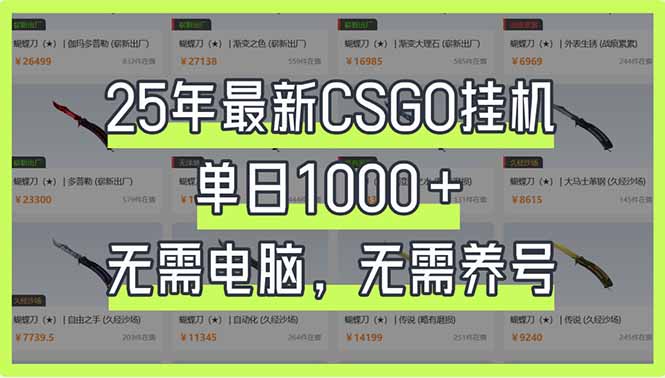(14178期)25年最新CSGO挂机系统,单日1000+,无需电脑,无需养号,0基础可上手_天恒副业网
