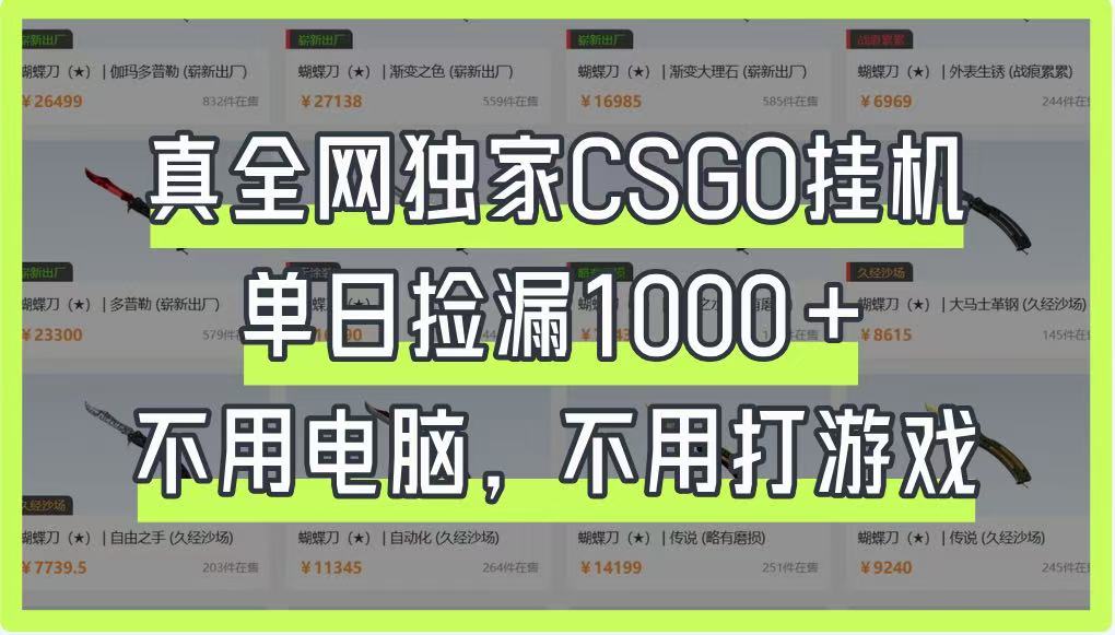 真全网独家CSGO挂机,单日捡漏1000+,不用电脑,不用养号_天恒副业网
