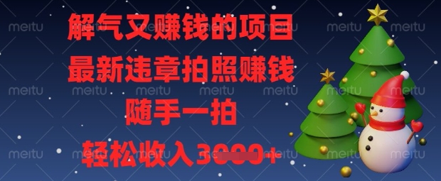 解气又挣钱的项目,最新违章拍照挣钱,随手一拍,轻松收入数张_天恒副业网