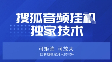 【搜狐音频挂G】独家技术,可矩阵可放大,红利期稳定月入8k_天恒副业网