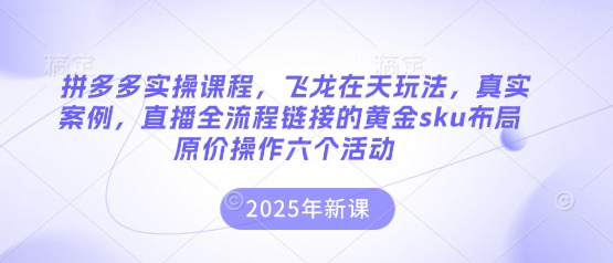拼多多实操课程,飞龙在天玩法,真实案例,直播全流程链接的黄金sku布局原价操作六个活动_天恒副业网