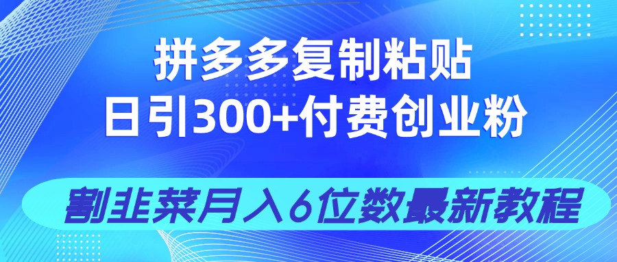 拼多多复制粘贴日引300+付费创业粉_天恒副业网
