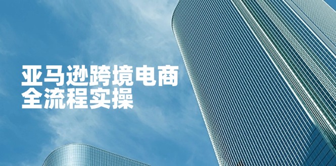 (14252期)亚马逊跨境电商全流程实操,教你从零开始,掌握店铺运营与广告技巧_天恒副业网