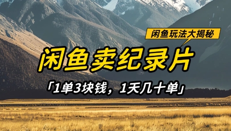 闲鱼卖纪录片1单3块钱,1天几十单,项目稳定有潜力_天恒副业网