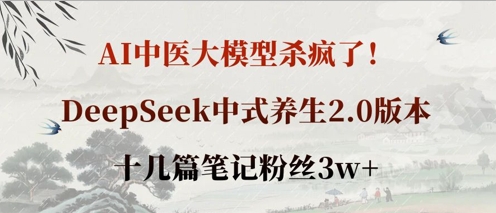 AI中医大模型杀疯了!DeepSeek中式养生2.0版本,十几篇笔记粉丝3w+_天恒副业网