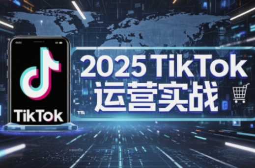 2025TikTok电商运营,掌握TikTok店铺运营核心技巧,实现低成本高转化_天恒副业网