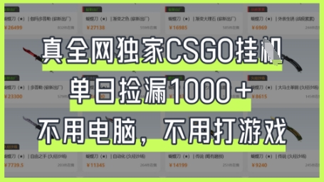 真全网独家CSGO挂G，单日捡漏1k+_天恒副业网