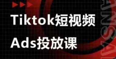 Ads视频投放课,tiktok短视频广告投放课_天恒副业网